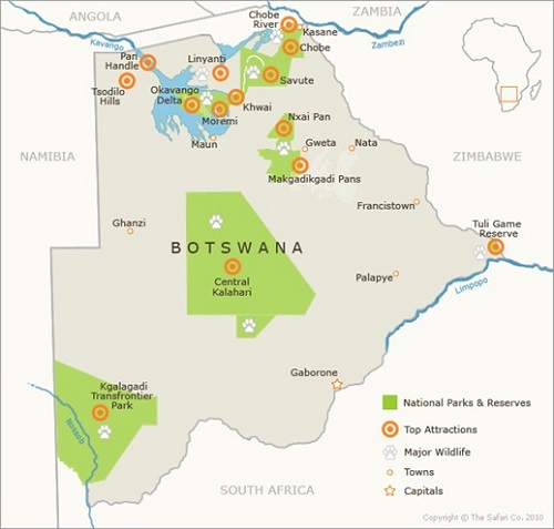Fauna And Flora In Botswana